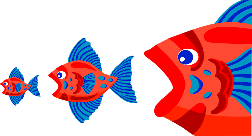Transparent Eat Clipart - Fish Eating Fish Cartoon, HD Png Download PNG with transparent background