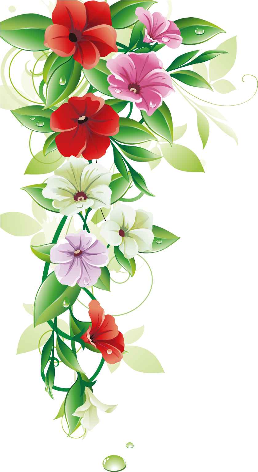 Flower Clip Art - Border Flower Design Png, Transparent Png PNG with transparent background