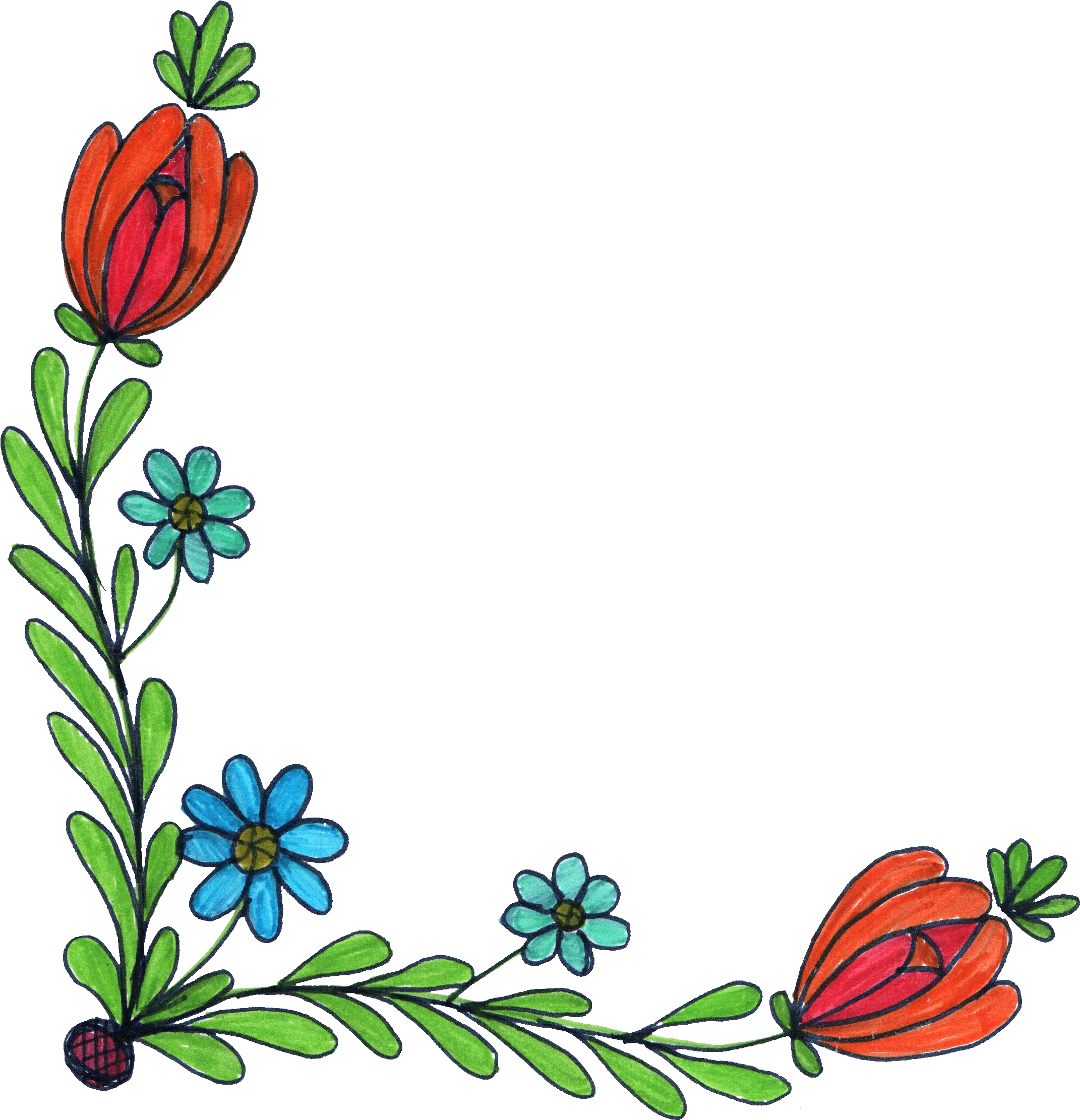 Flowers Drawing No Background, HD Png Download PNG with transparent background