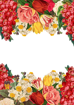 Colorful Floral Frame Black Background