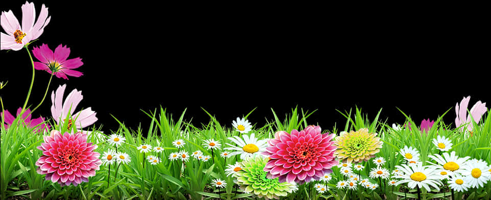 Colorful Floral Grass Border Black Background PNG with transparent background