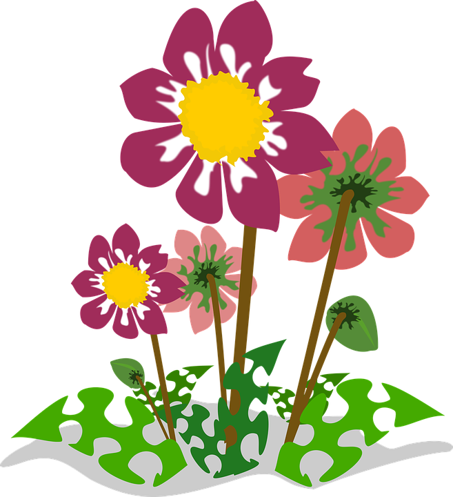 Colorful Flowers Illustration PNG with transparent background