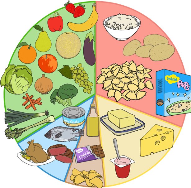 Balanced Diet Eating And Drinking Different Foods To - Balanced Diet Menu Clipart, HD Png Download PNG with transparent background