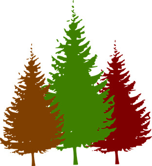 Colorful Forest Silhouettes PNG with transparent background