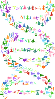 Colorful Frog D N A Illustration PNG with transparent background