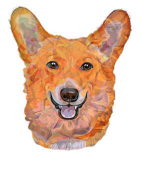 Colorful Geometric Corgi Portrait PNG with transparent background