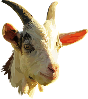 Colorful Goat Portrait PNG with transparent background