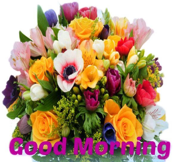 Good Morning Png Image - Big Bunch Of Flowers, Transparent Png PNG with transparent background