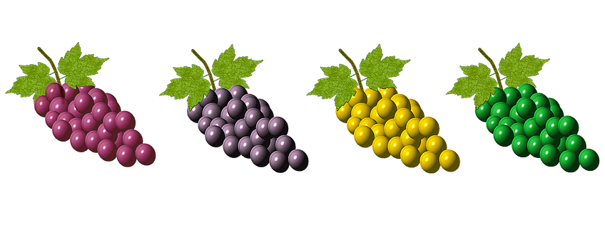 Colorful Grape Bunches Variety PNG with transparent background