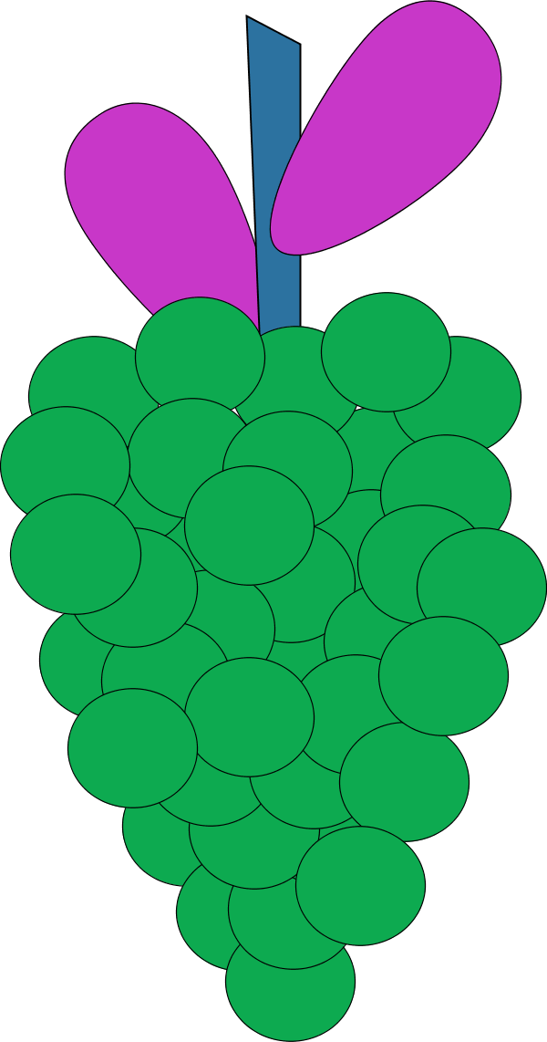 Colorful Grape Cluster Illustration