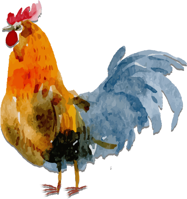 Colorful Hen Illustration