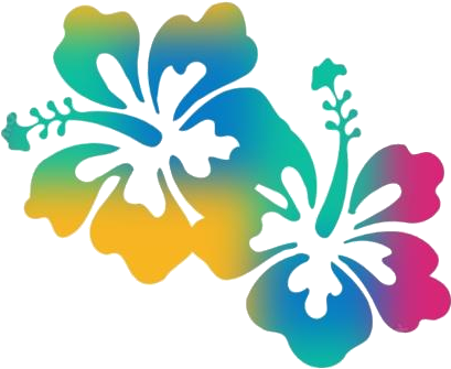 Colorful Hibiscus Silhouette Graphic PNG with transparent background