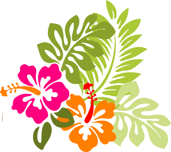 Colorful Hibiscus Vector Illustration PNG with transparent background