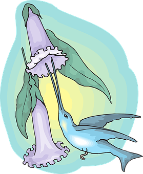 Colorful Hummingbird Feeding From Flower PNG with transparent background
