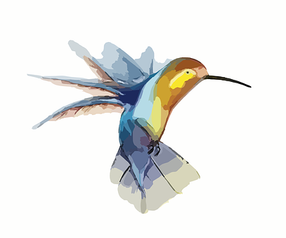 Colorful Hummingbird Illustration PNG with transparent background