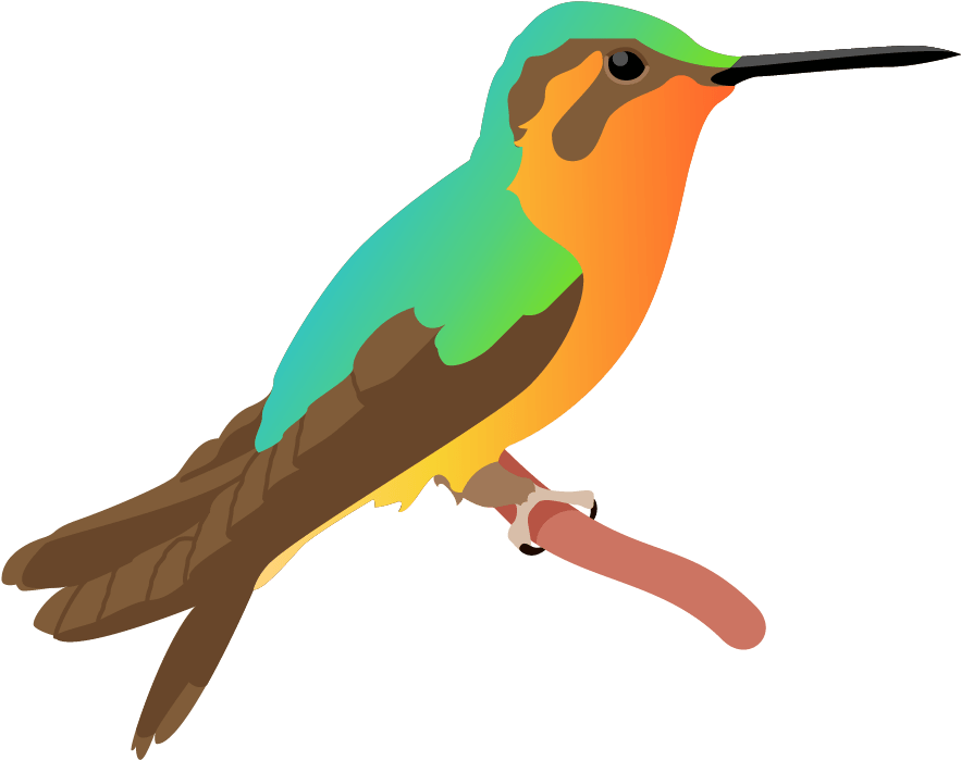 Colorful Hummingbird Illustration PNG with transparent background