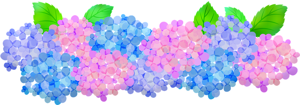 Hydrangeas Clip Art, Floral, Pink And Purple Hydrangeas - Blue Hydrangea Transparent Kawaii, HD Png Download PNG with transparent background
