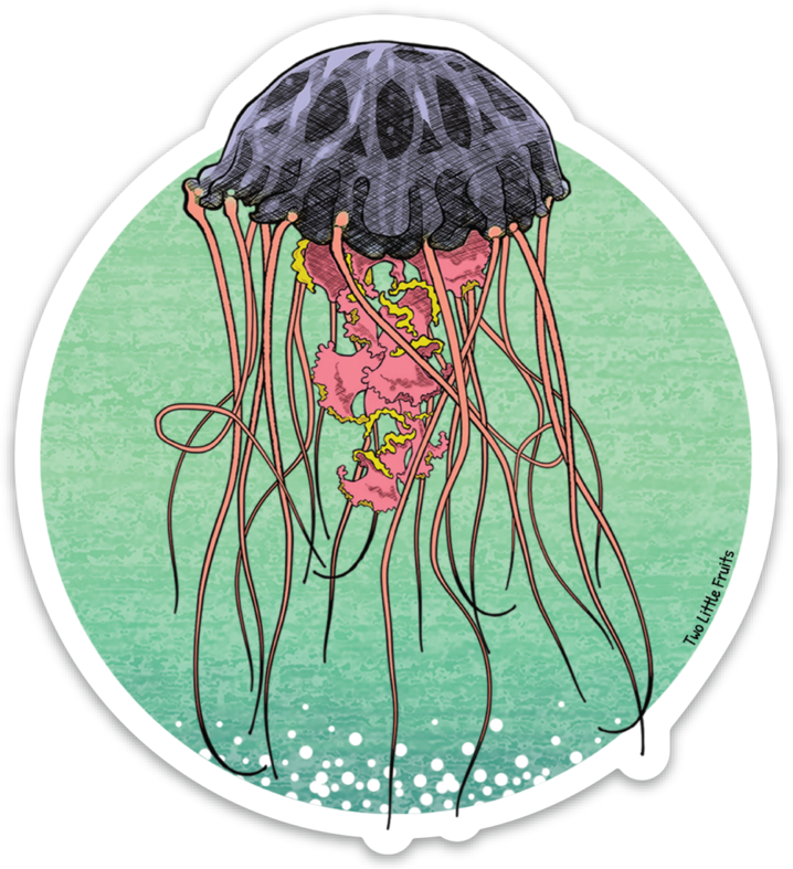 Jellyfish Stickers Hd, HD Png Download PNG with transparent background