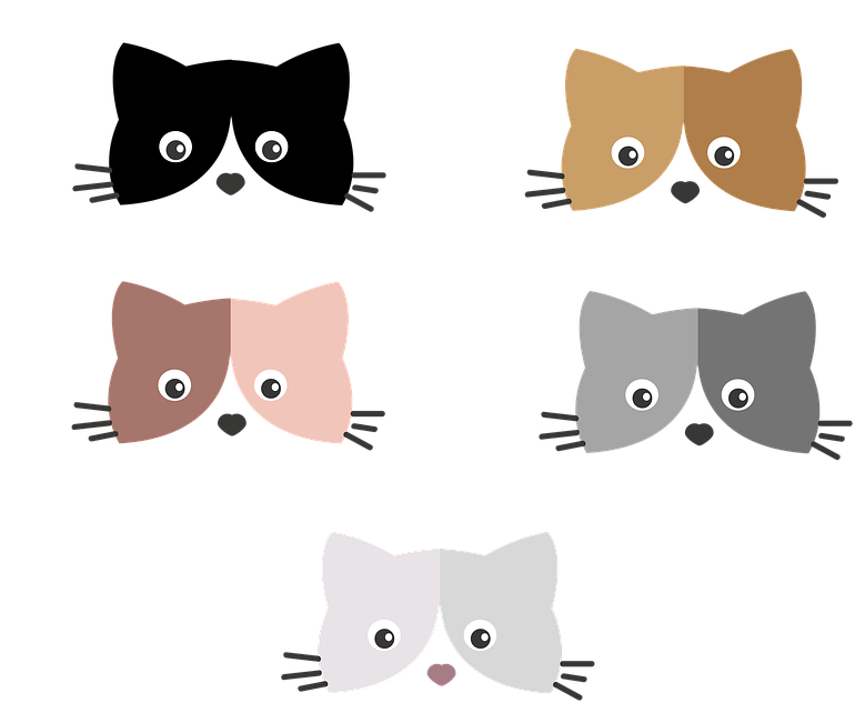 Colorful_ Kitten_ Faces_ Vector_ Illustration