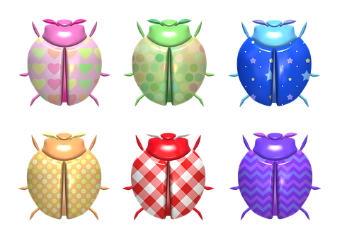 Colorful Ladybug Collection PNG with transparent background