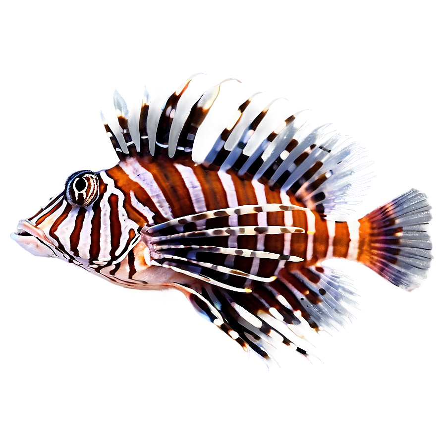 Colorful Lionfish Png Hxw