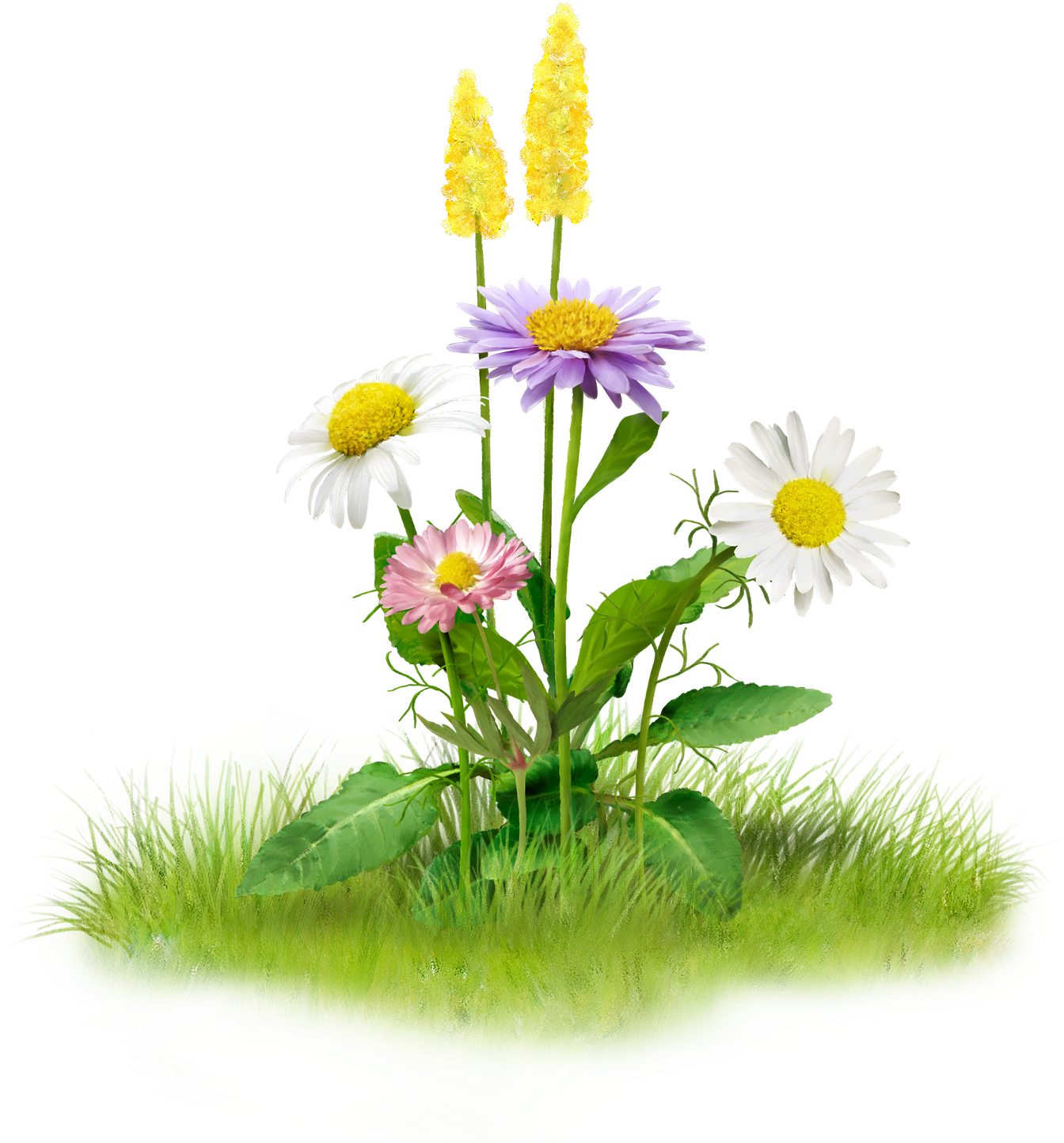 Colorful_ Meadow_ Flowers PNG with transparent background
