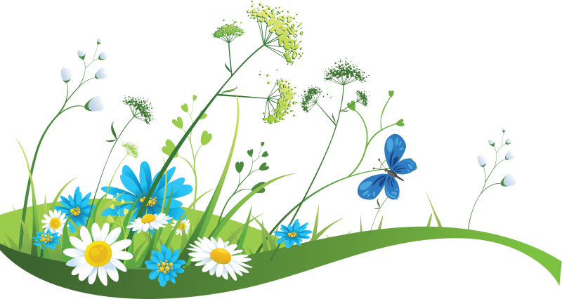 Summer Meadow PNG HD PNG with transparent background