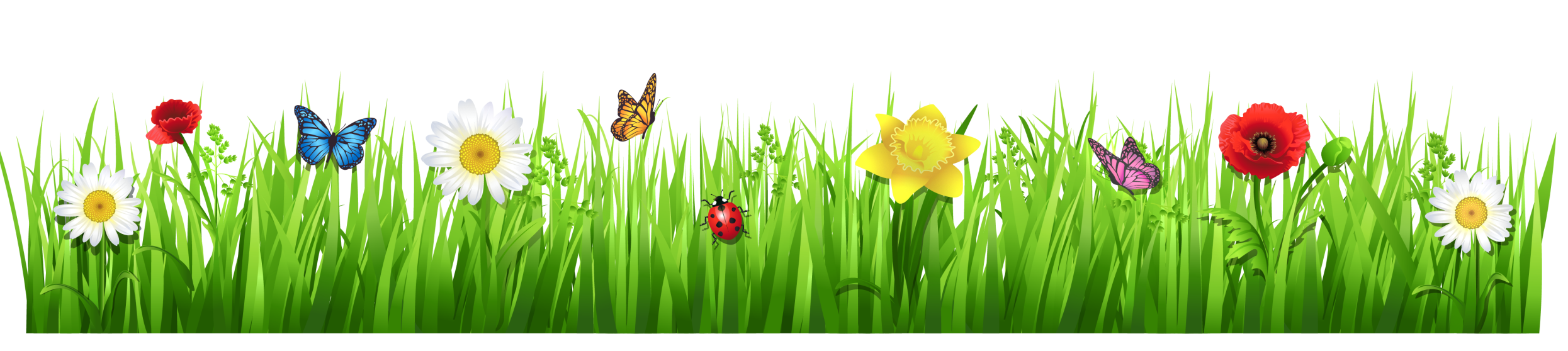 Field Meadow PNG File PNG with transparent background