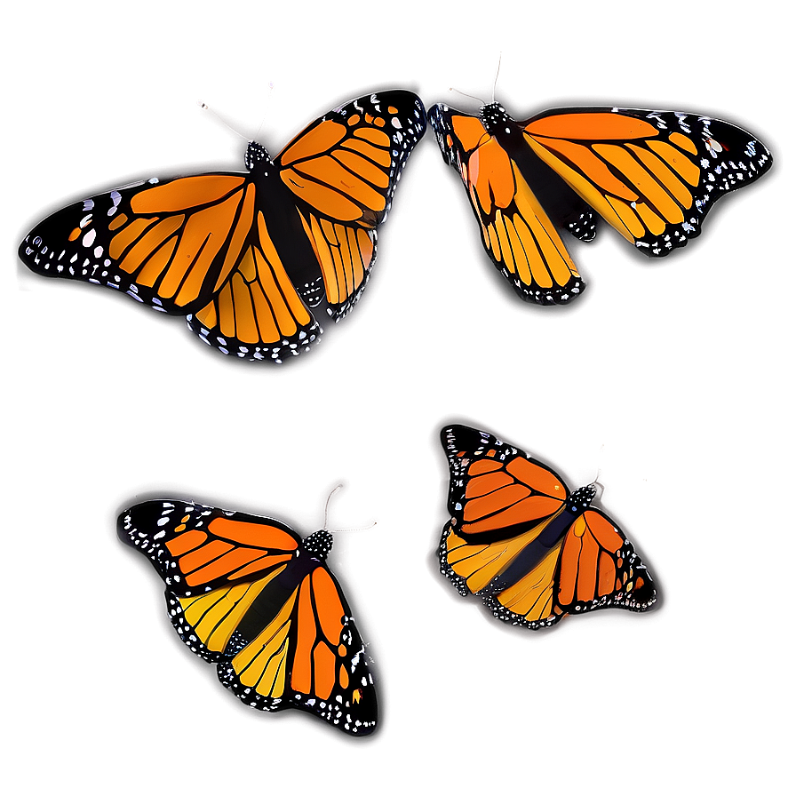 Colorful Monarch Butterflies Png 06252024