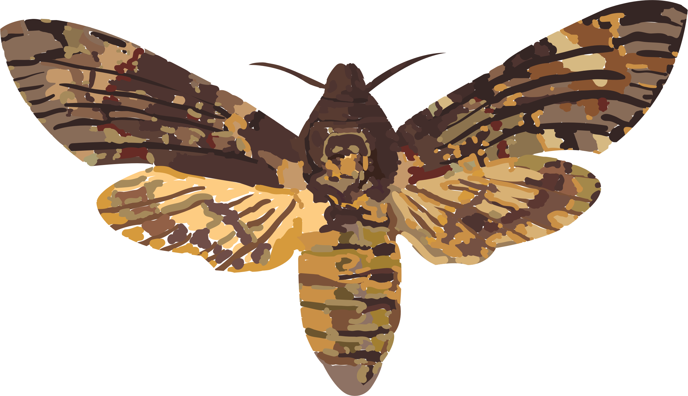 Death Head Hawk Clip Arts - Death Head Moth Transparent, HD Png Download PNG with transparent background