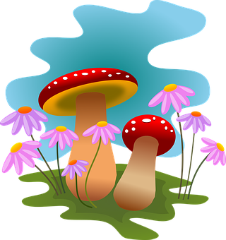 Colorful Mushroomsand Flowers Illustration PNG with transparent background
