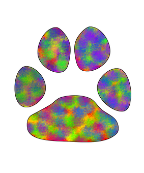 Colorful_ Nebula_ Paw_ Print PNG with transparent background