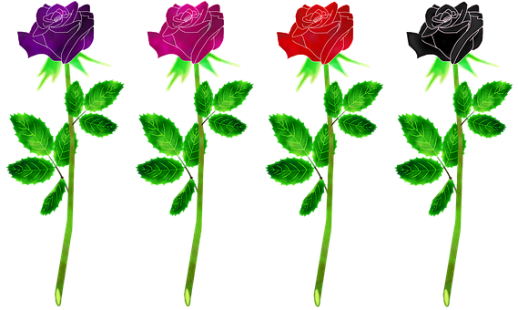 Colorful Neon Roses Vector Illustration PNG with transparent background