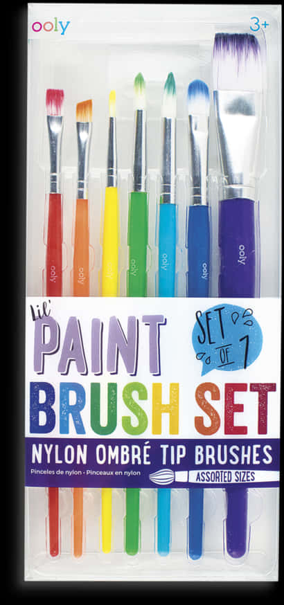 Colorful Ombre Paint Brush Set Packaging