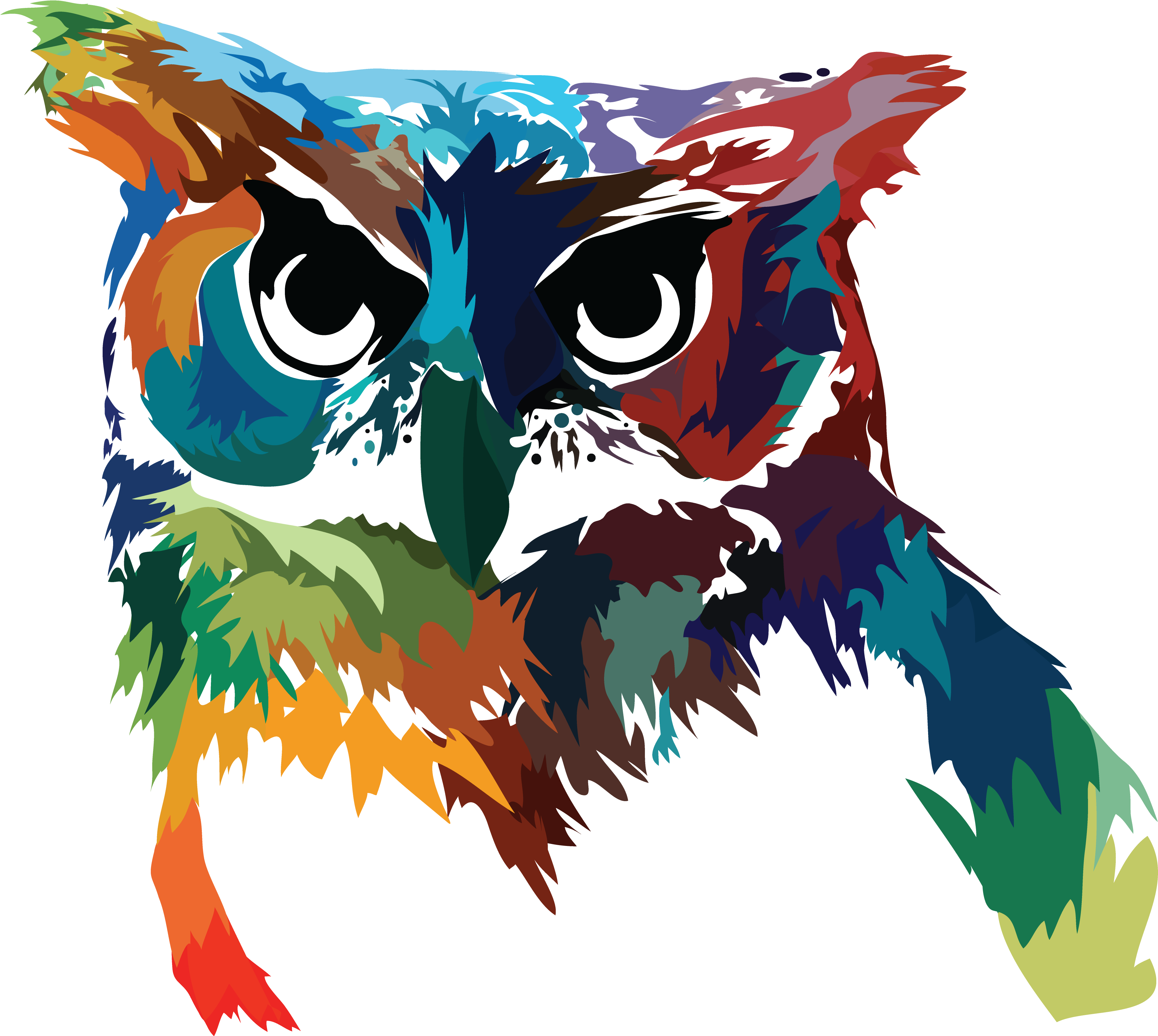 Colorful Owl Artwork