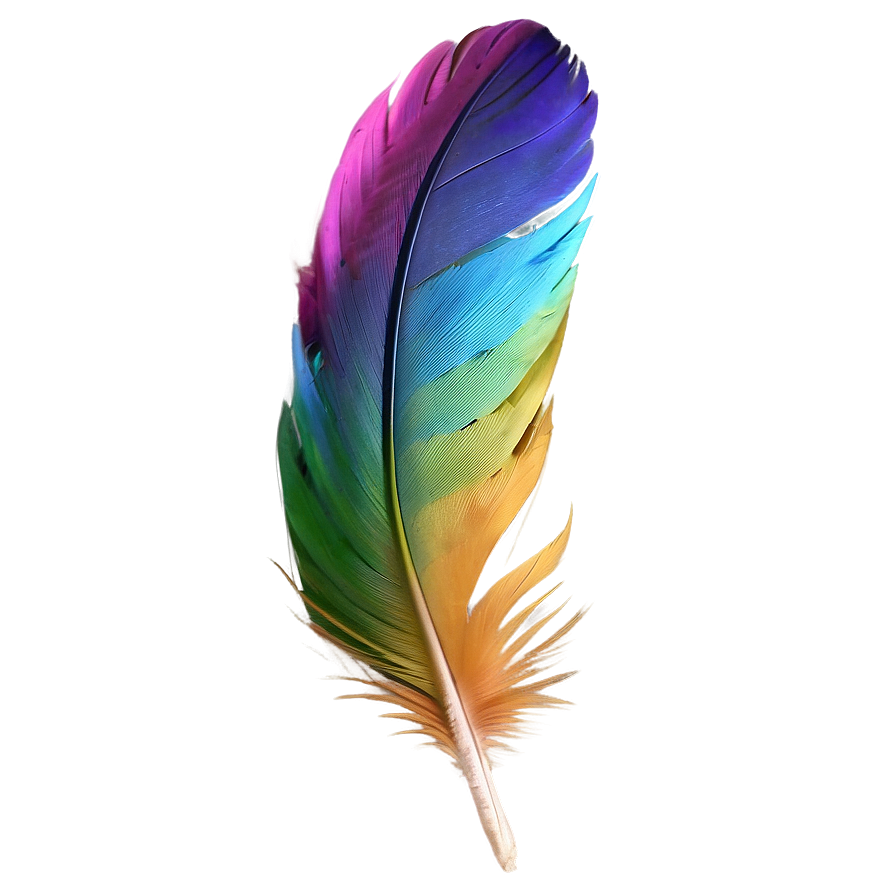 Colorful Parrot Feather PNG xwt PNG with transparent background