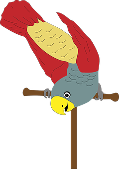 Colorful Parrot Illustration