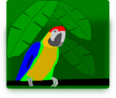Colorful Parrot Illustration PNG with transparent background