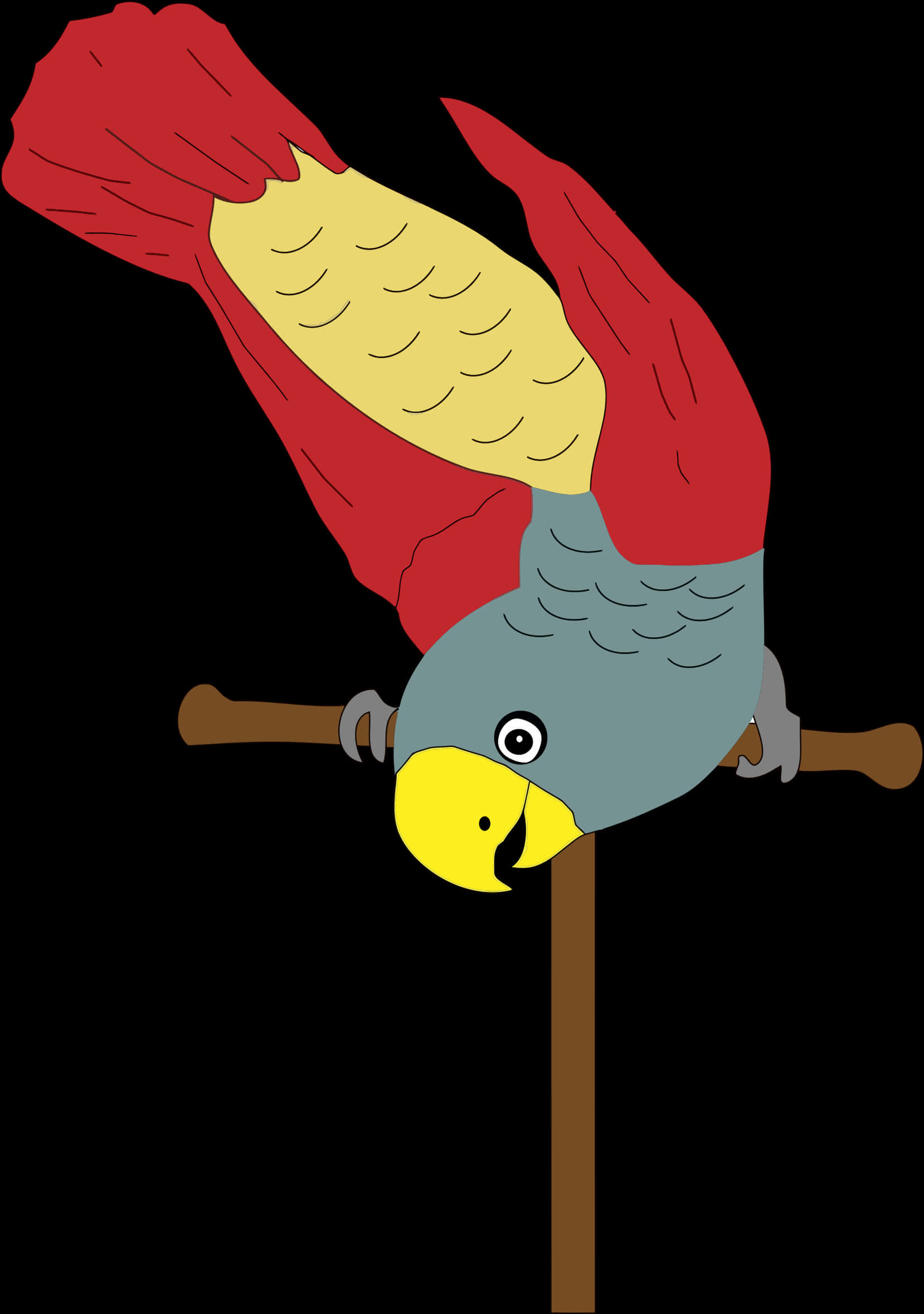 Colorful Parrot Illustration