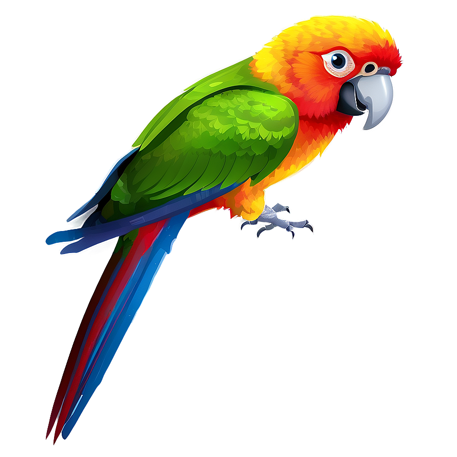 Colorful Parrot Png 45