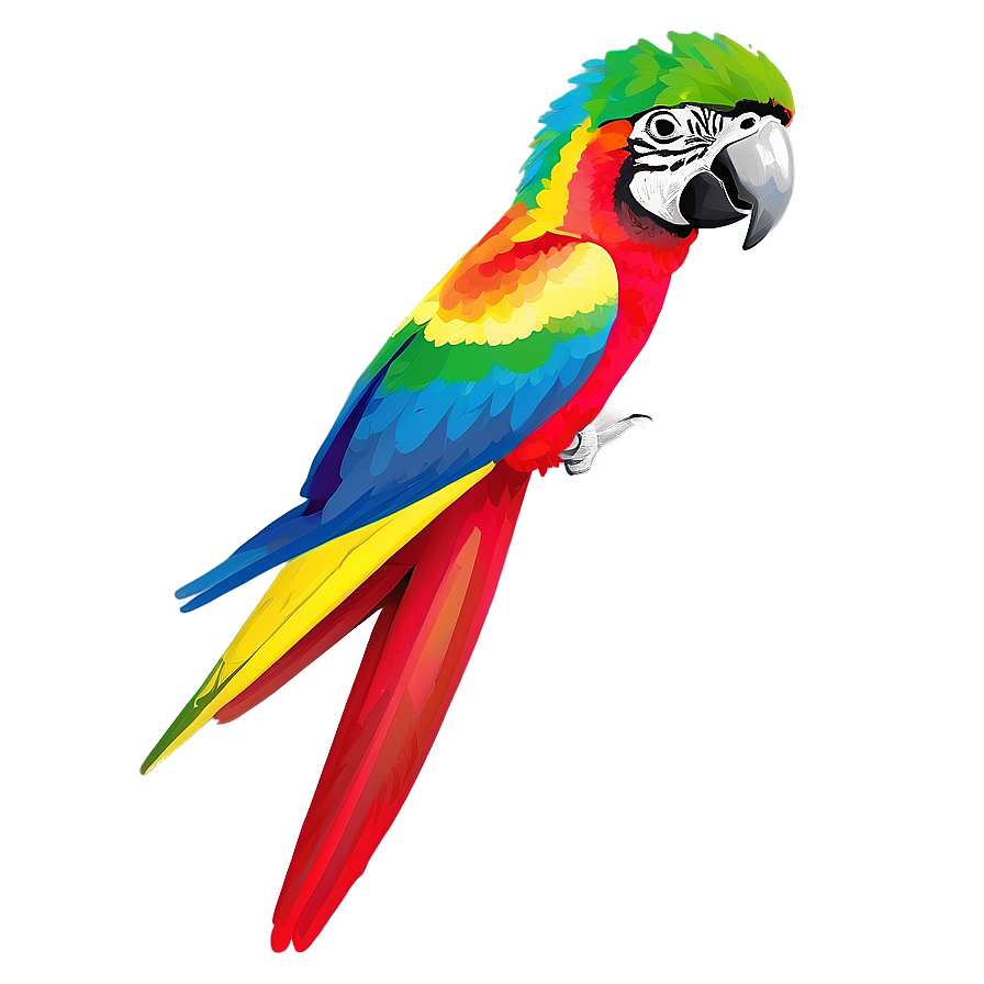 Colorful Parrot PNG duc PNG image with a transparent background, free high-resolution download