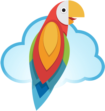 Colorful Parrot Rocket Illustration