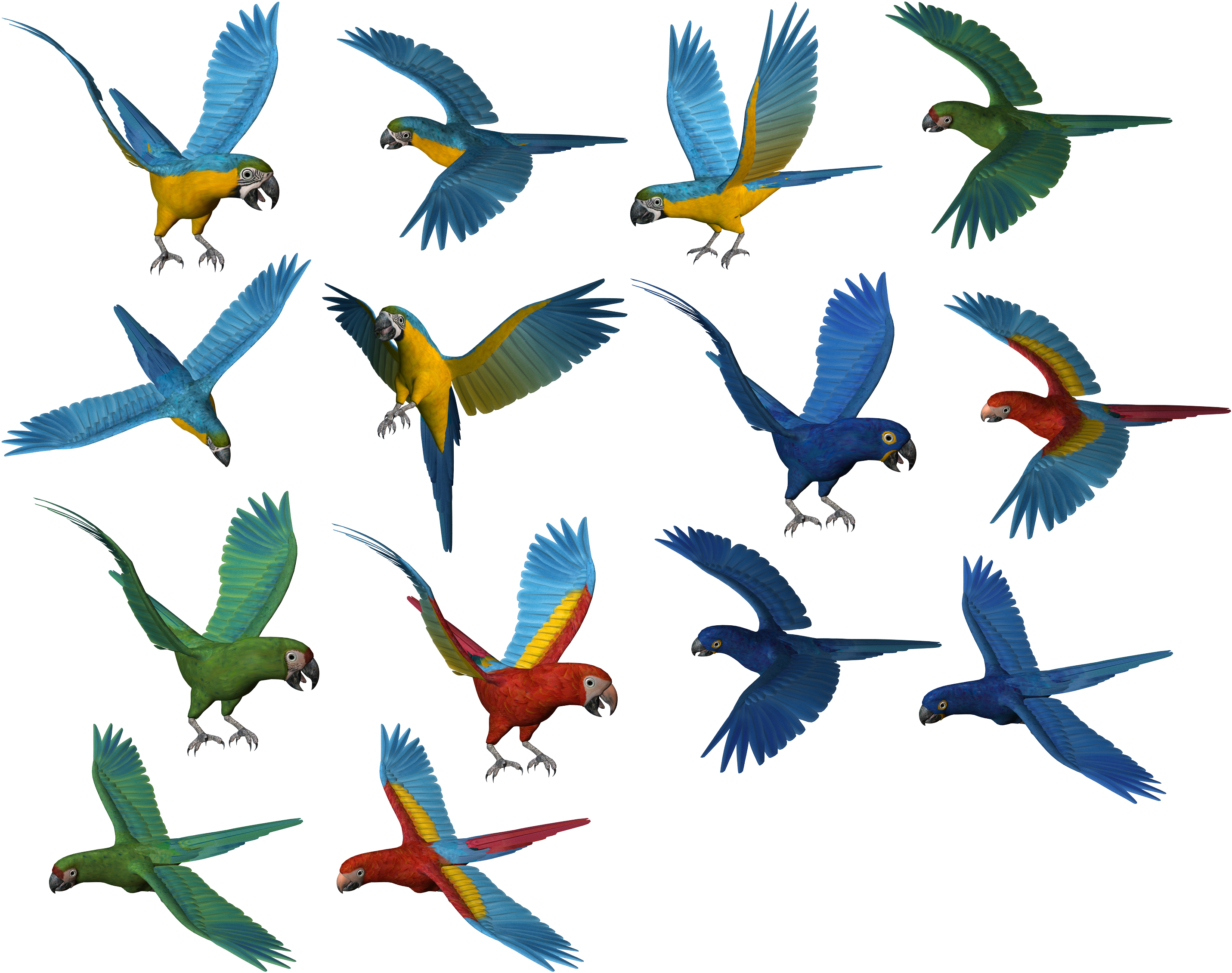 Colorful_ Parrots_ In_ Flight