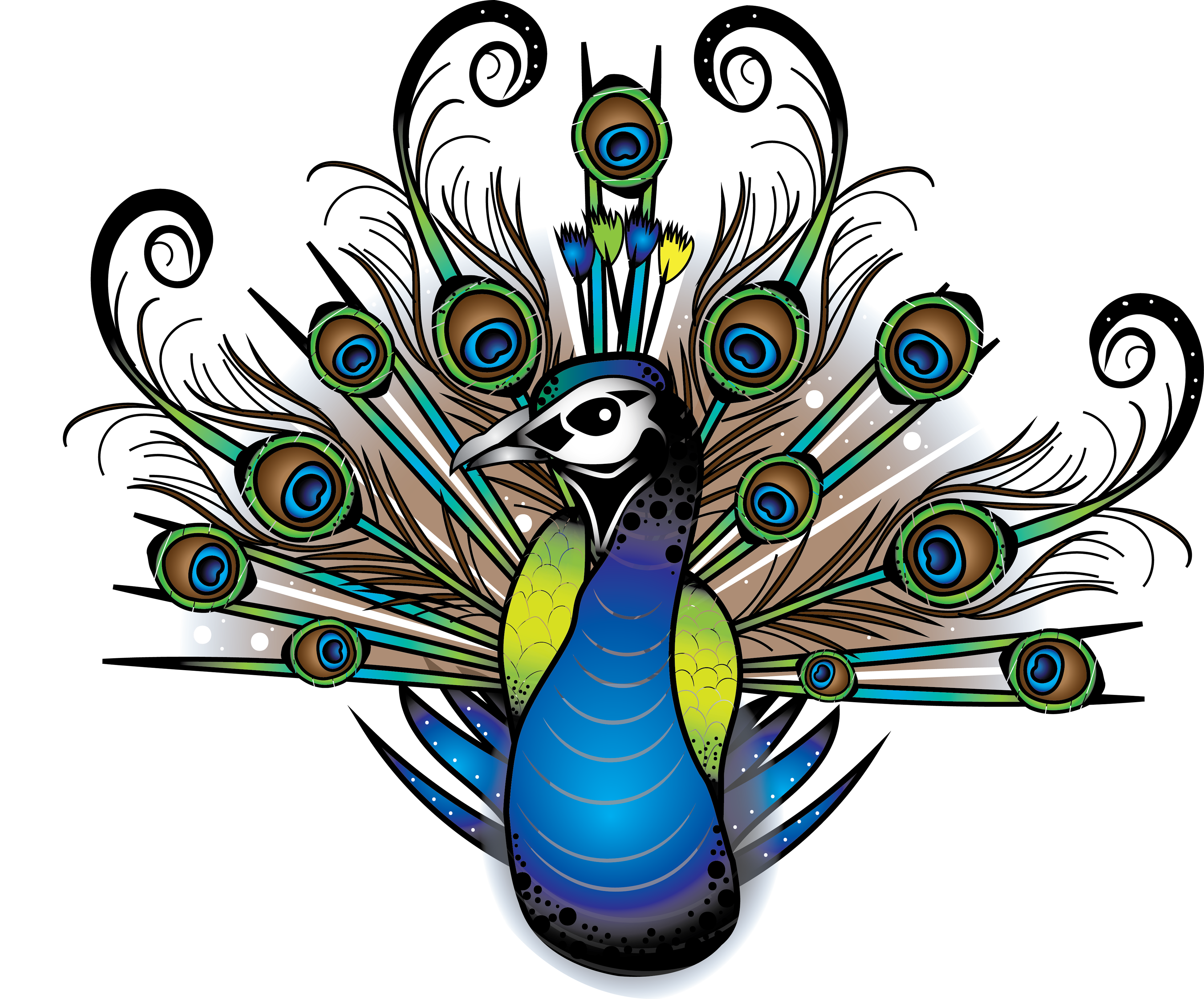 Colorful Peacock Artwork