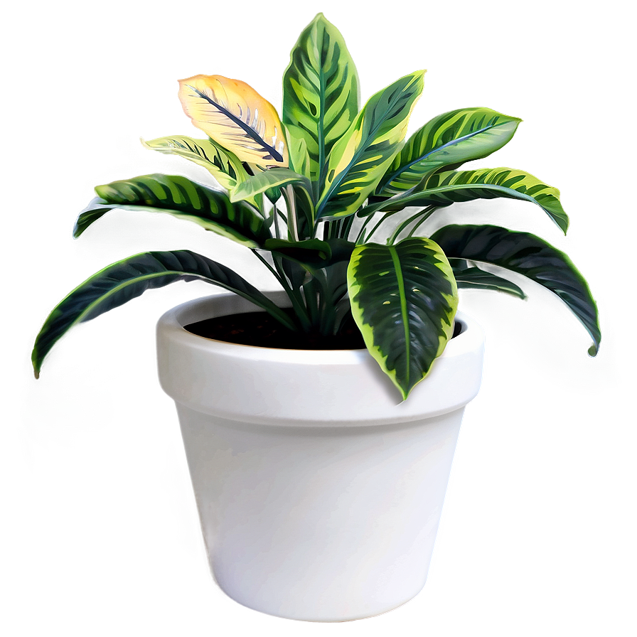 Colorful Plant Png 05032024