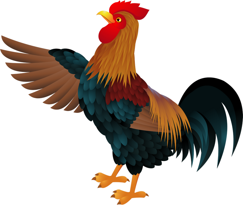 Colorful Rooster Illustration