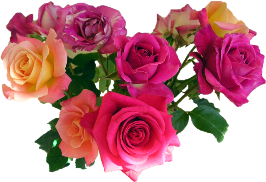 Bouquet Flowers Png Transparent Images Free Download - Flowers Png, Png Download PNG with transparent background