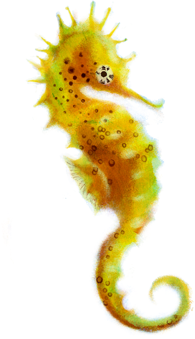 Colorful Seahorse Illustration