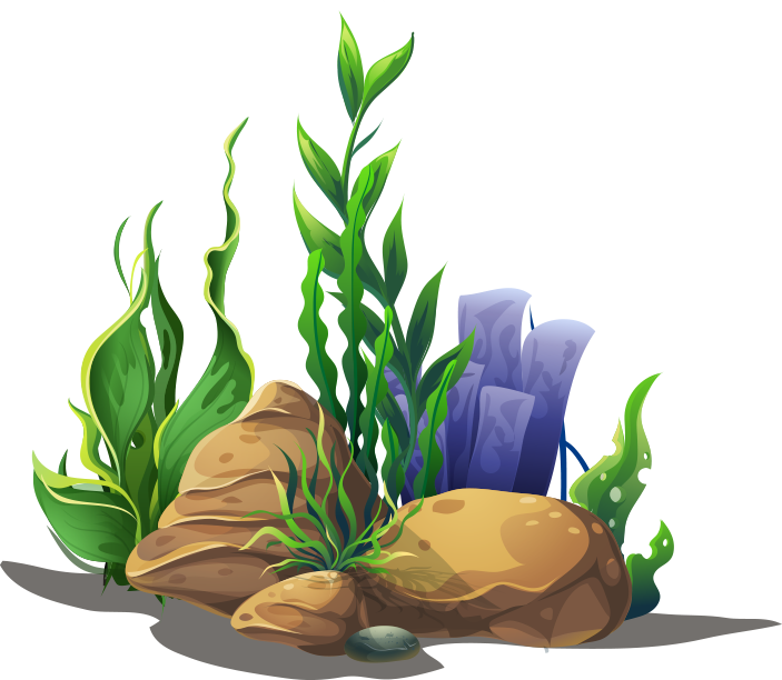 Transparent Office Plant Png - Seaweed Clipart Png, Png Download PNG with transparent background