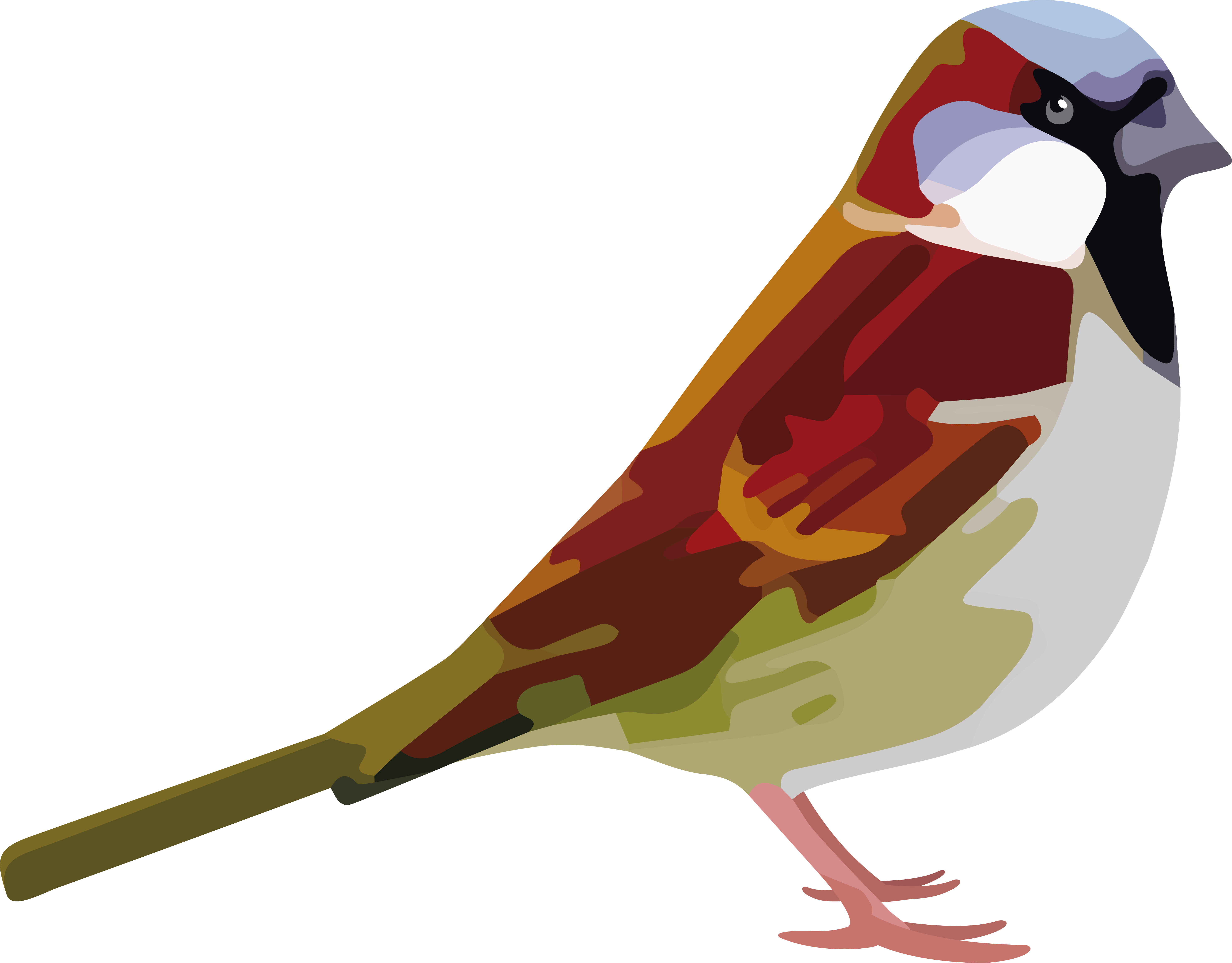 Colorful Sparrow Illustration